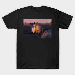 Mustang in the Darkness T-Shirt